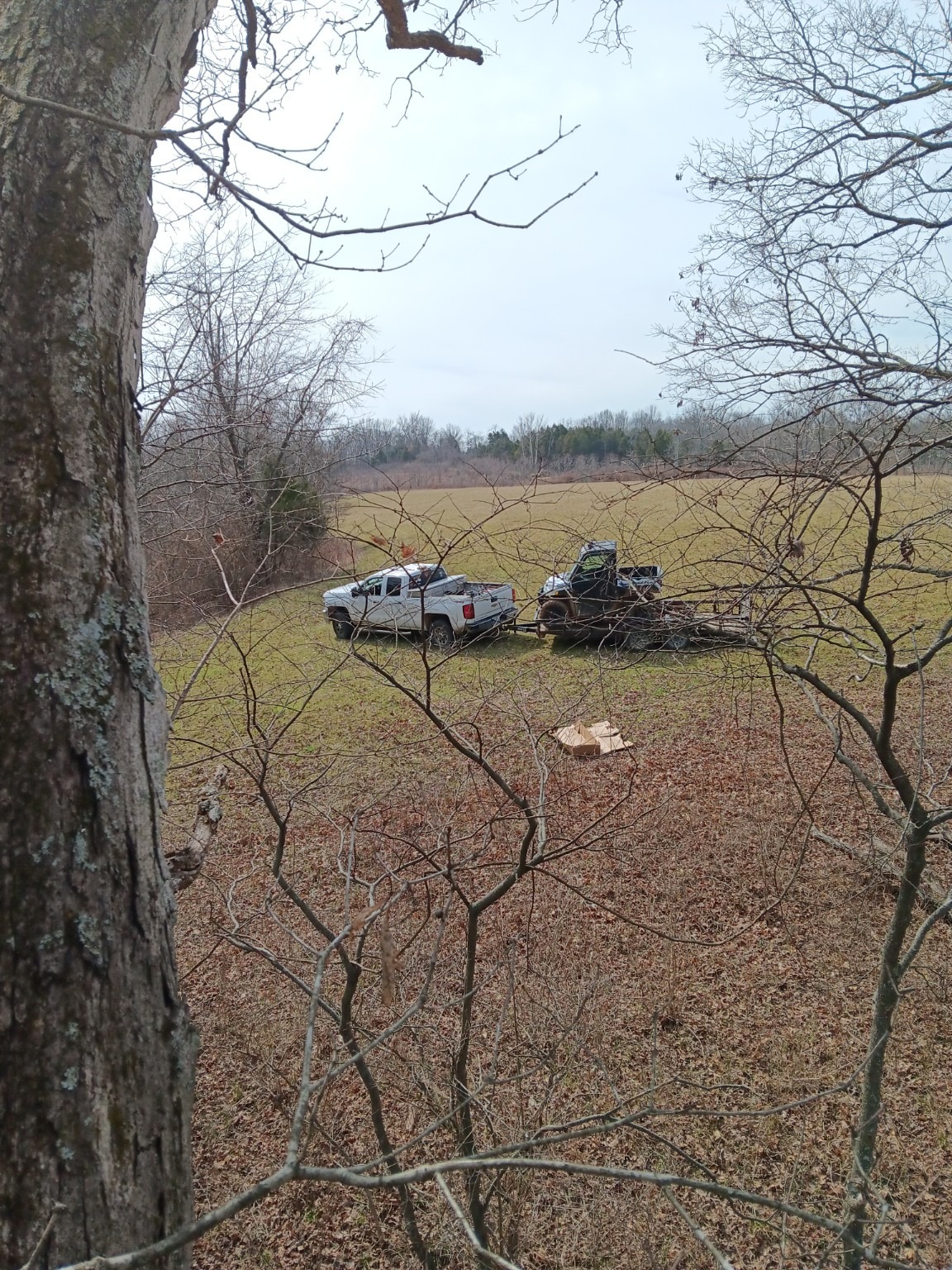 Land clearing along a wooded field